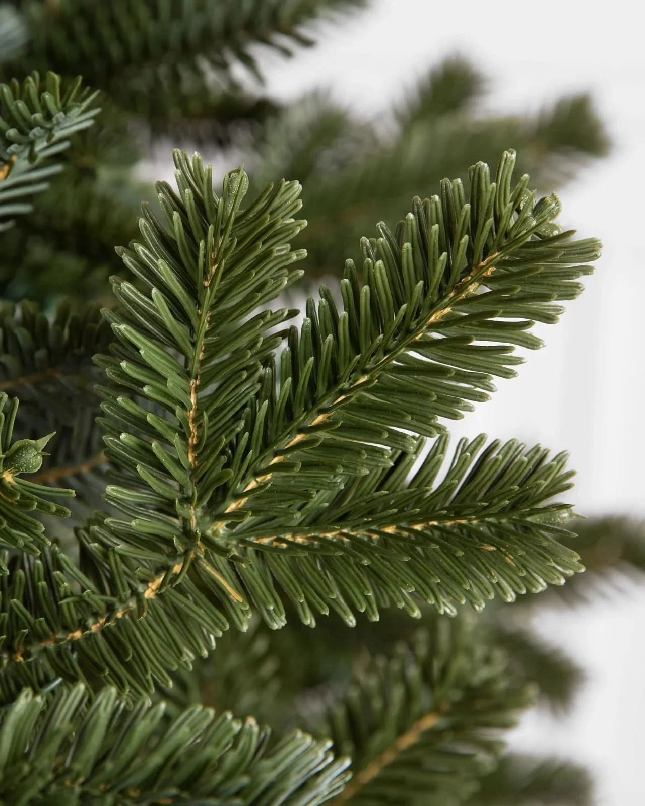 Árvore Fraser Fir Premium [ + LED DE BRINDE ]